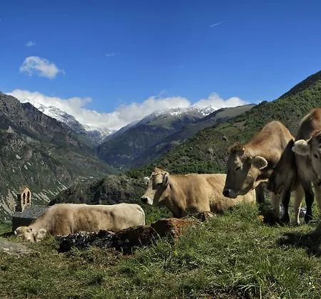 Baliera Campeggio 3*