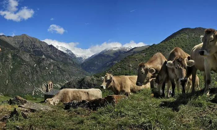 Baliera Parque de Campismo 3*